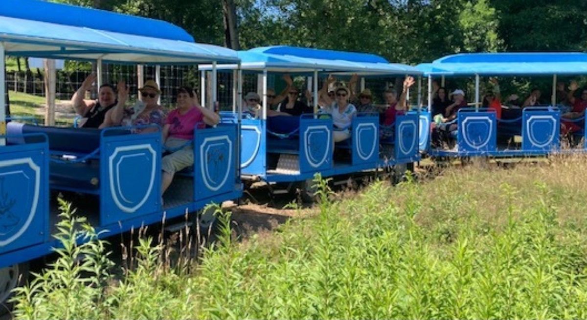 Le petit train Tracto'Ludo