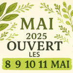 Calendrier 9 mai 2025