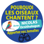 Les Oiseaux chantent