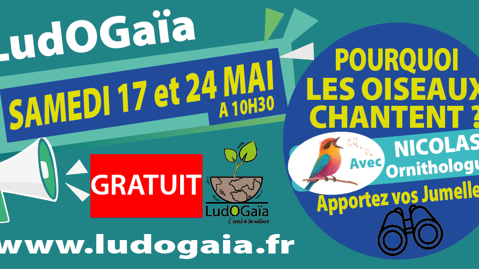 Les Oiseaux chantent (conférence gratuite)