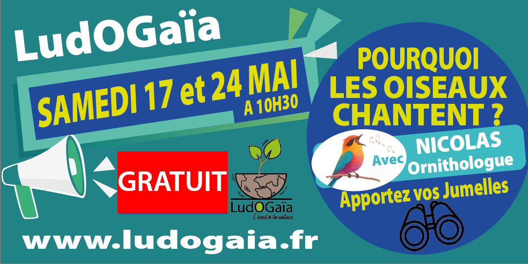 Les Oiseaux chantent (conférence gratuite)